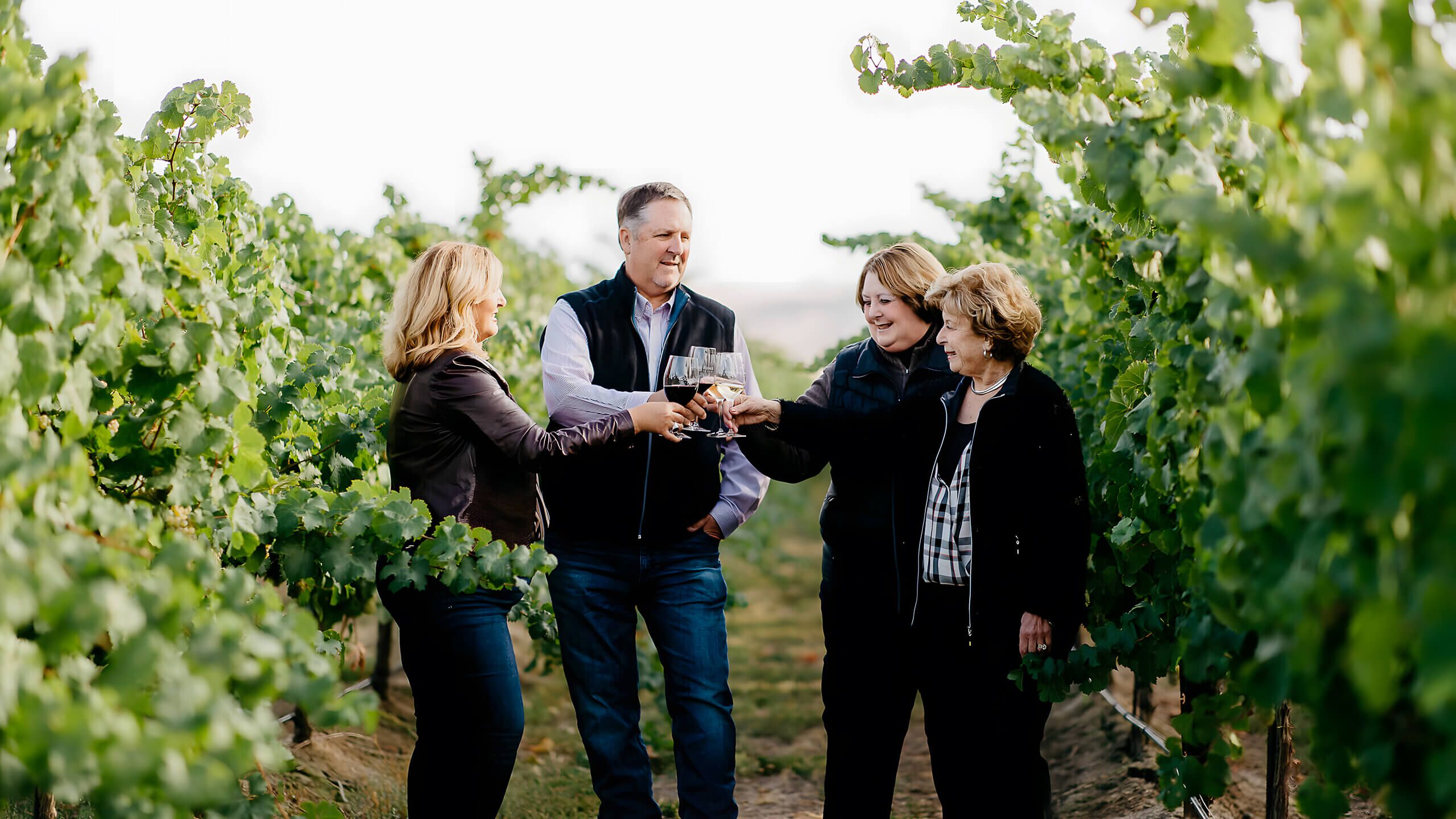 Four people raise glasses of wine in a toast between rows of leafy green vines
