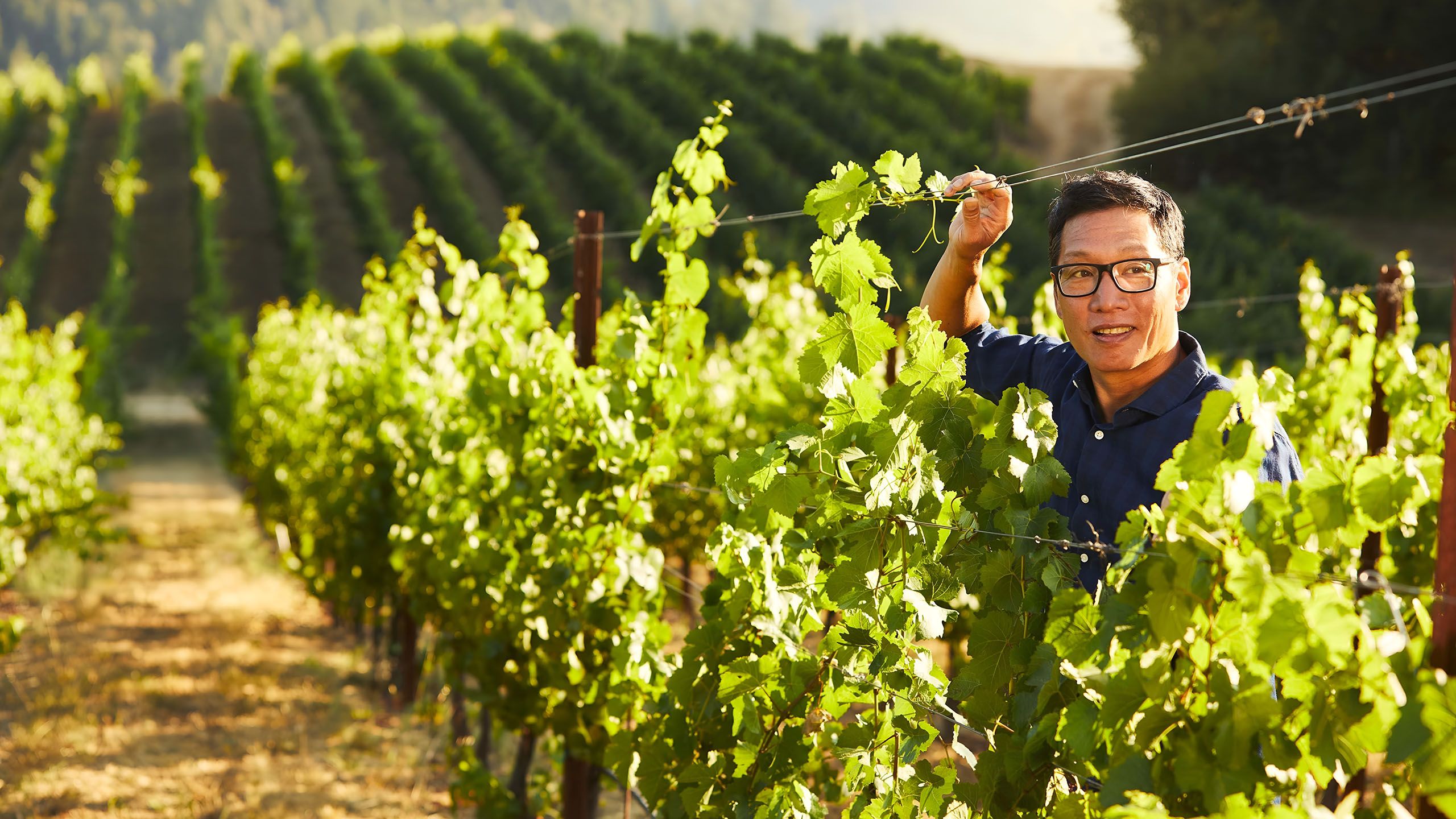 Tank Talk with Darrin Low, Winemaker, Domaine Anderson & Carpe Diem