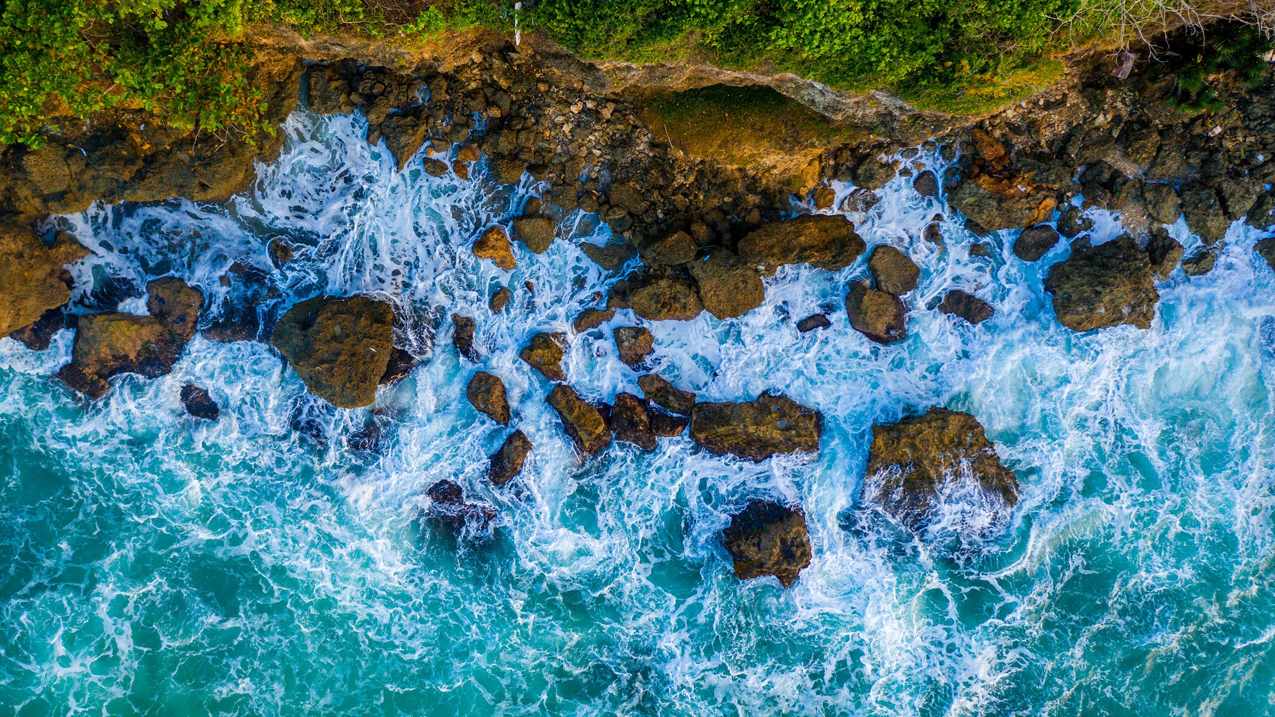 Tank Talk with Jonathan Nagy, Winemaker, J. Wilkes