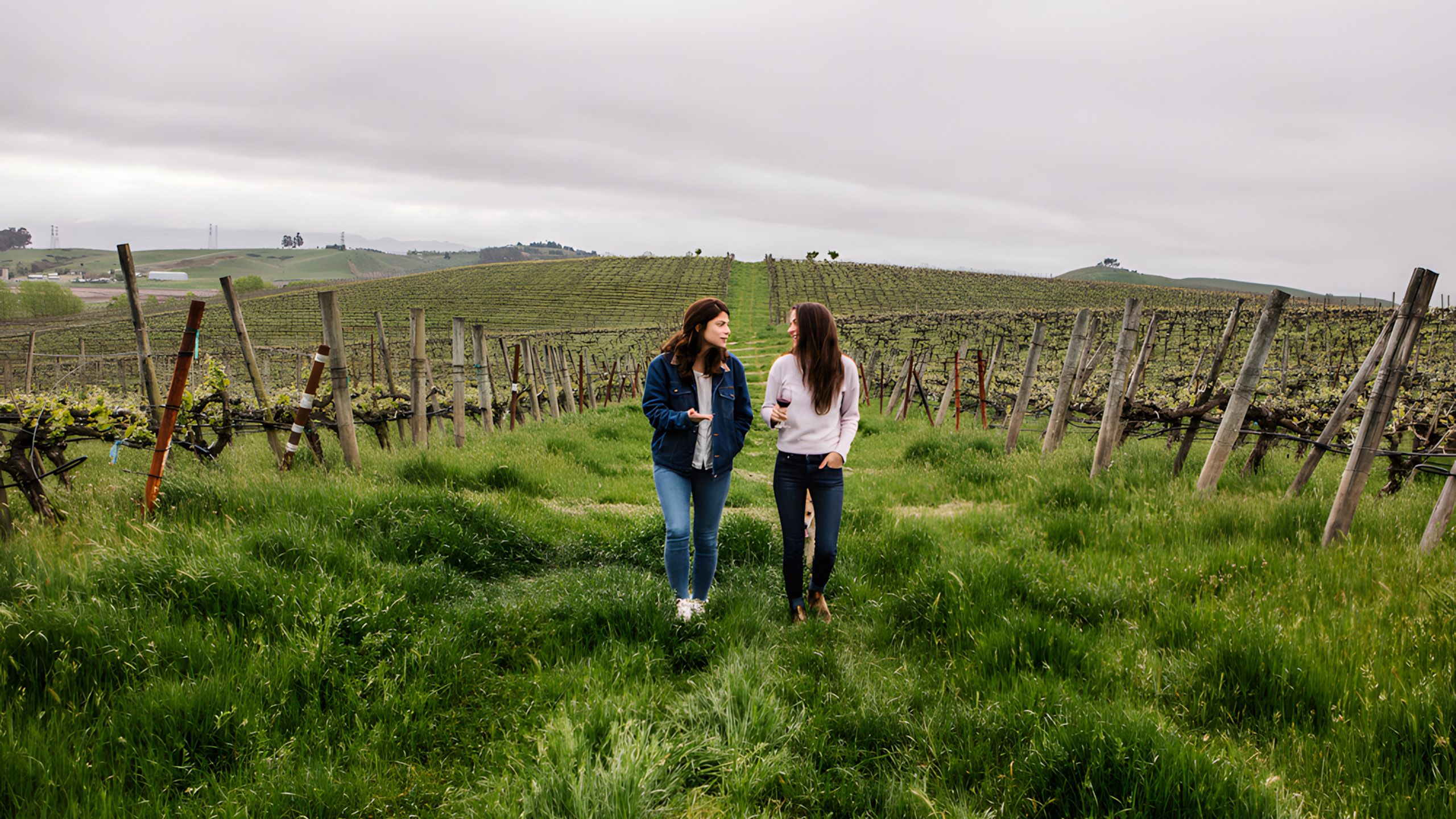 Tank Talk with Hilary Cline, Gust Wines & Growing Up Cline