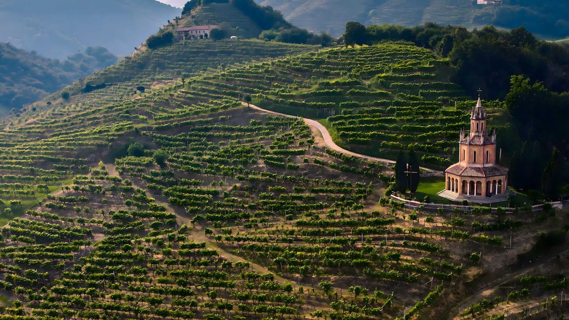 Terraced hillside vineyards in Veneto at golden hour, a small chapel on the ridge